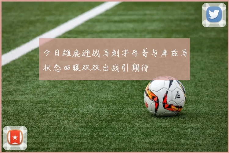 今日雄鹿迎战马刺字母哥与库兹马状态回暖双双出战引期待